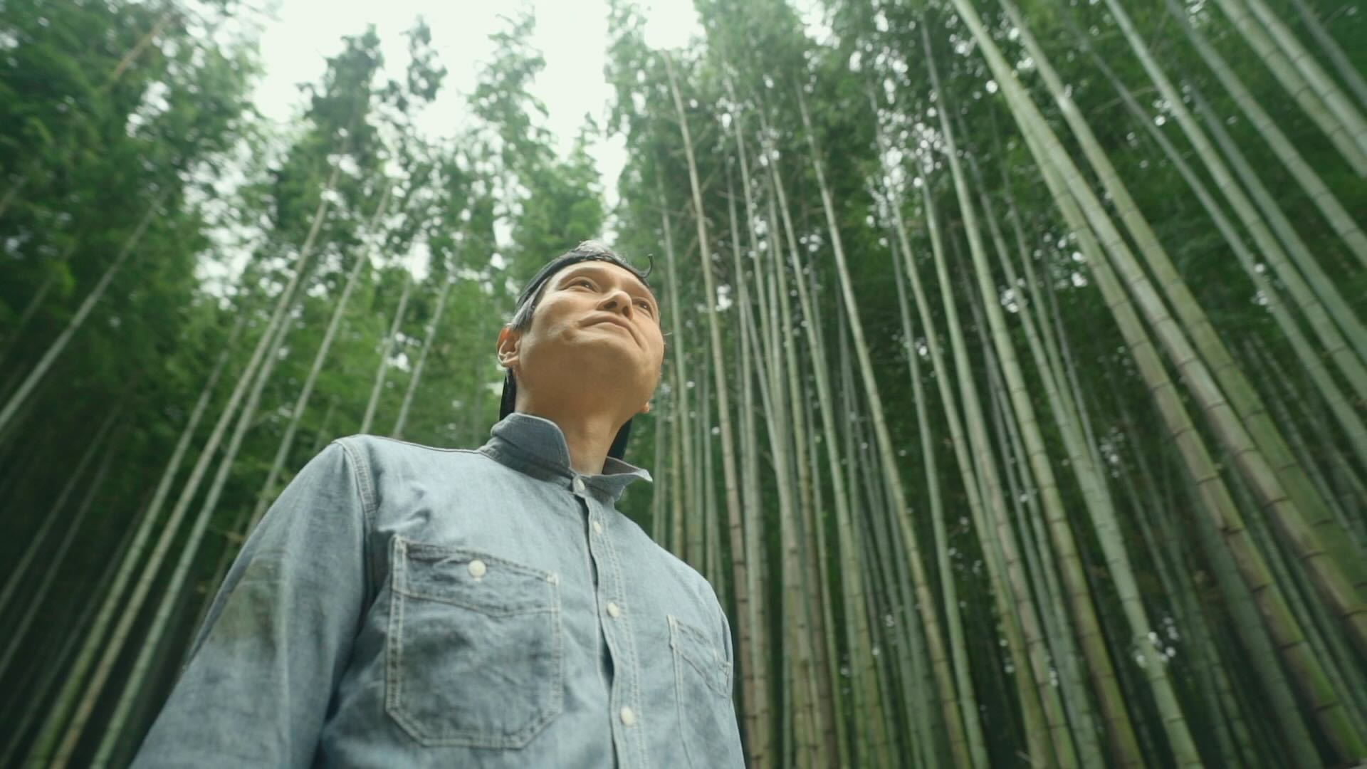 プロモーション活用