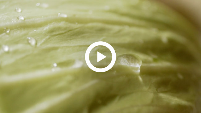 うまか酒場 まんなか家様